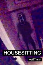 HOUSESITTING movie poster