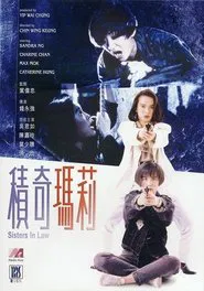 Poster do filme Sisters In Law