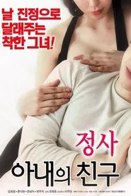 An Affair: My Wife's Friend movie poster