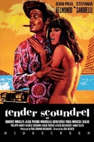 Tender Scoundrel movie poster