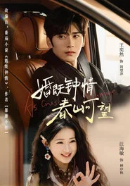 婚既钟情，春山可望 tv show poster