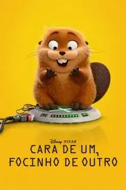 Poster do filme Cara de Um, Focinho de Outro