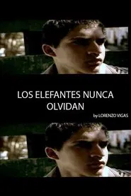 Elephants Never Forget movie poster