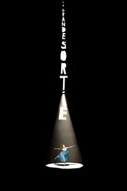 La grande sortie movie poster