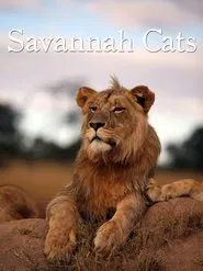 Savannah Cats movie poster