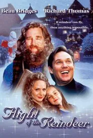 The Christmas Secret movie poster