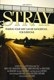 Stray movie poster