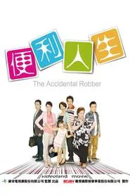 The Accidental Robber tv show poster