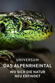 Poster do filme Das Alpenrheintal – Wo sich die Natur neu erfindet