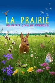 Die Wiese: Ein Paradies nebenan movie poster