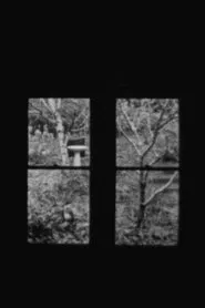 Poster do filme In and Out a Window