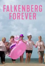 Falkenberg Forever tv show poster