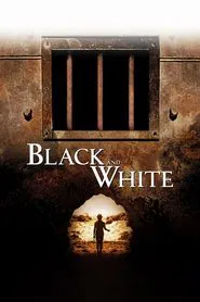 Poster do filme Black and White