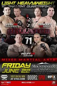 Poster do filme Bellator 71