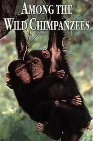 Among the Wild Chimpanzees movie poster