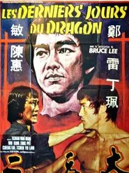 Poster do filme Martial Arts