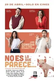 No es lo que parece movie poster