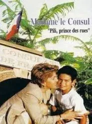 Madame le Consul tv show poster