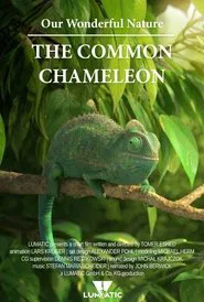 Our Wonderful Nature - The Common Chameleon movie poster