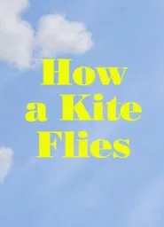 How a Kite Flies movie poster