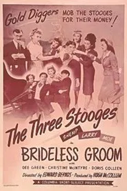 Brideless Groom movie poster