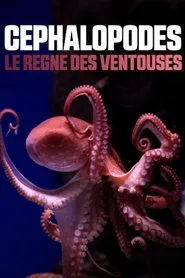Cephalopods: The Reign of Suckers movie poster