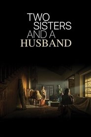 Two Sisters And A Husband movie poster