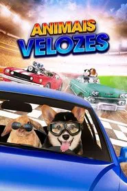 Poster do filme Animais Velozes
