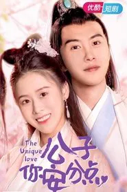 The Unique Love tv show poster