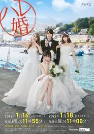 Harem Marriage tv show poster