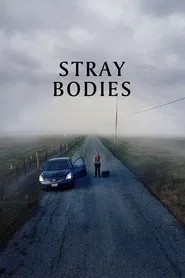 Stray Bodies movie poster