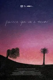 Parece que va a nevar movie poster