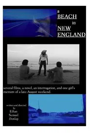Poster do filme A Beach in New England
