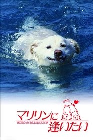 Shiro and Marilyn movie poster
