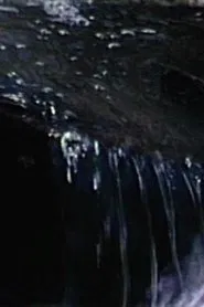 A Dream of Space movie poster