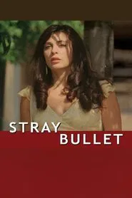 Stray Bullet movie poster