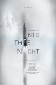 Poster do filme Into the Night