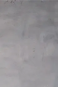 The Painting That Dries movie poster