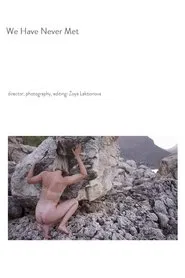 We Have Never Met movie poster