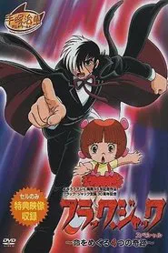 ブラック・ジャック スペシャル～命をめぐる4つの奇跡～ movie poster