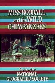 Miss Goodall and the Wild Chimpanzees movie poster