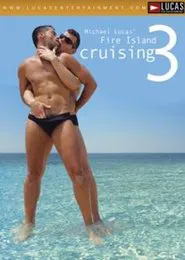 Fire Island Cruising 3 movie poster