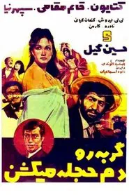 گربه را دم حجله می کشند movie poster