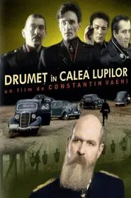 Drumeț în calea lupilor movie poster