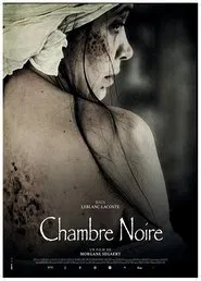 Poster do filme The Dark Room