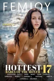 Hottest Babes of the Month #17 movie poster