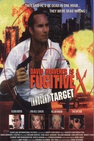 Fugitive X: Innocent Target movie poster
