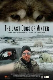 The Last Dogs of Winter movie poster