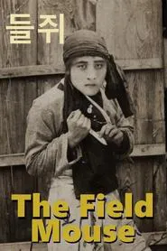 Poster do filme Field Mouse