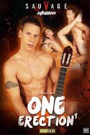 Poster do filme One Erection